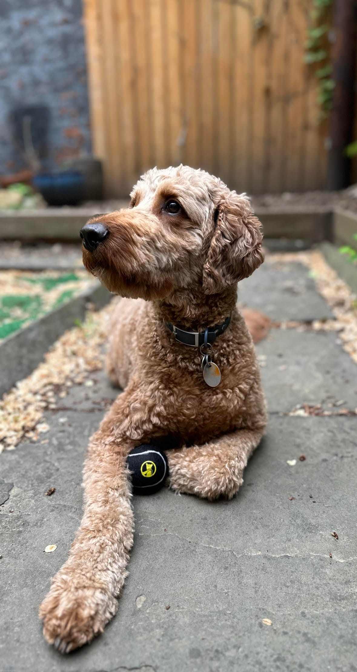 $50 Underdog Credit for LegUp Subscribers